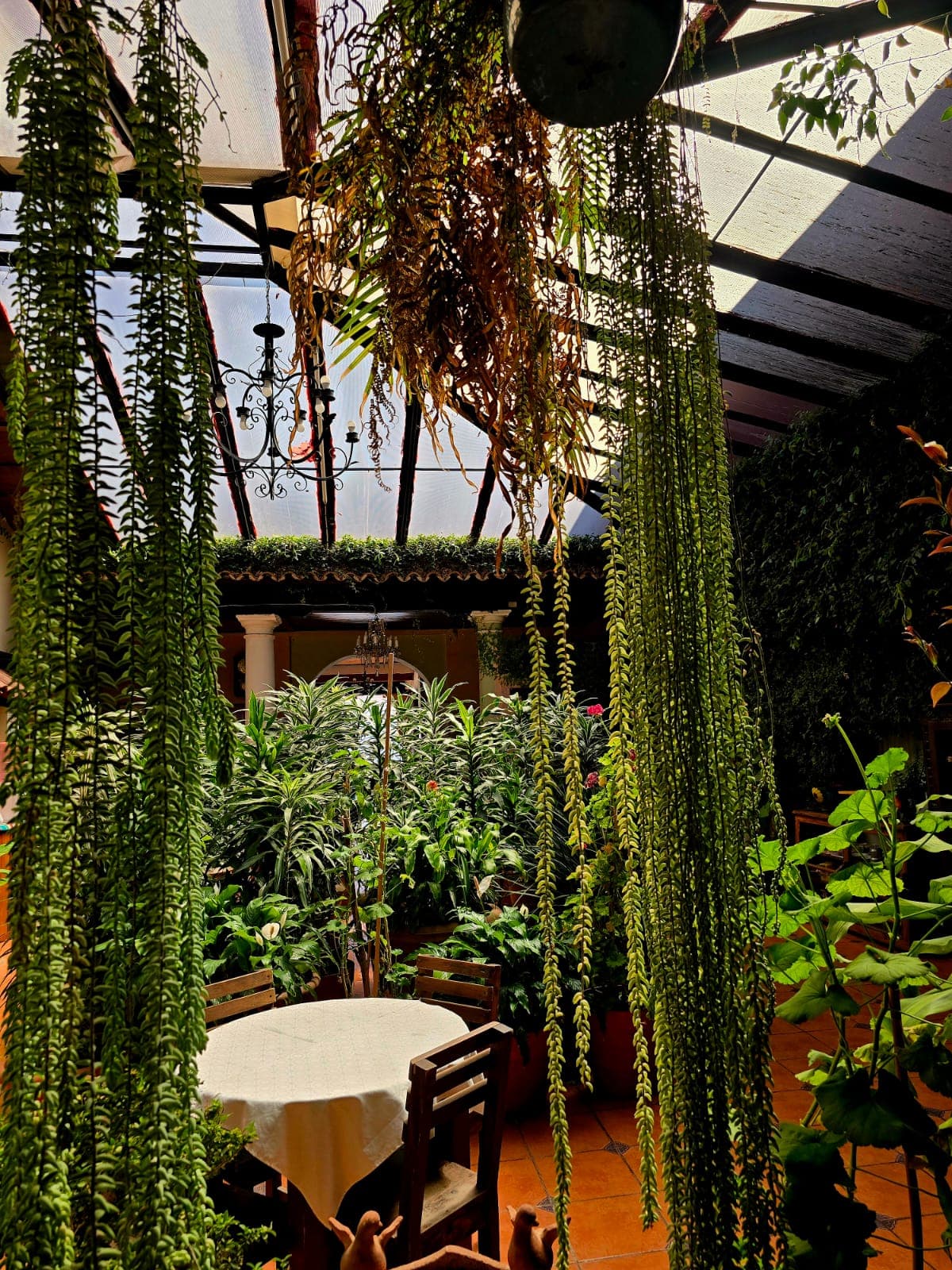 Hotel San Luis