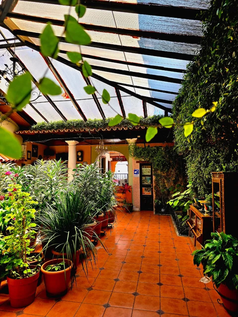 Hotel San Luis